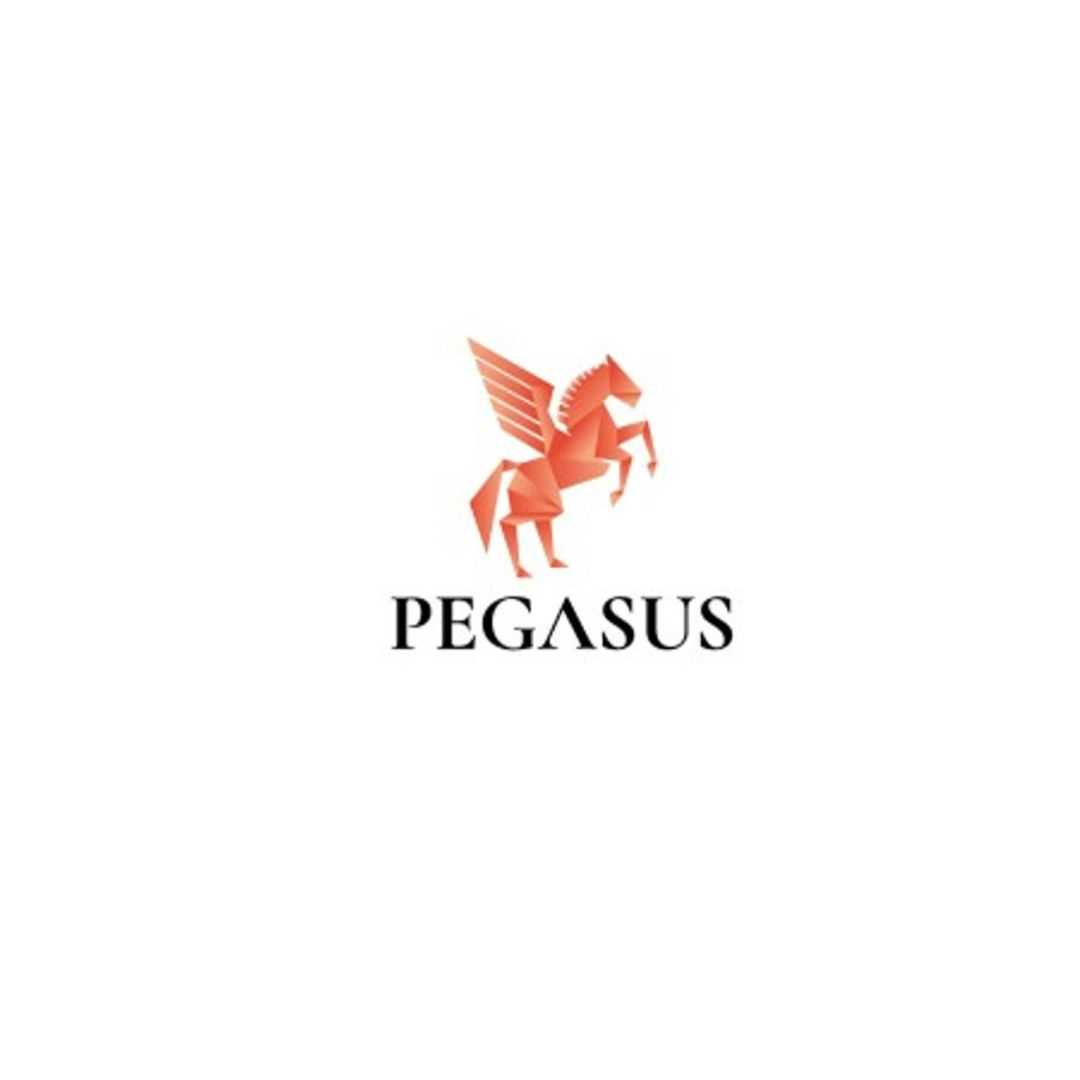 PegasusFunding